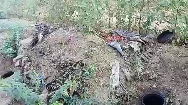 देखें वीडियो : त्योहारी सीजन में मिलावटखोरों की चांदी : शराब व खाने-पीने की चीजों के साथ ब्रांडेड कपड़े व अन्य सामान बेच रहे डुप्लीकेट