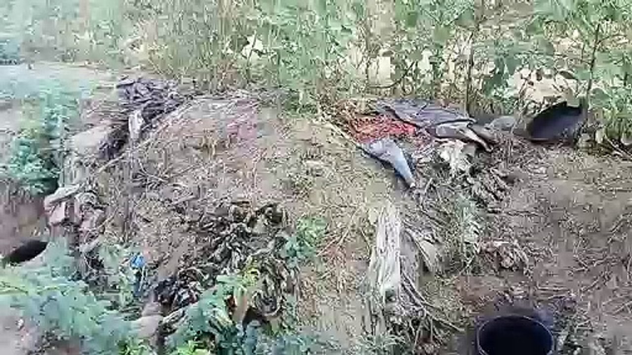 देखें वीडियो : त्योहारी सीजन में मिलावटखोरों की चांदी : शराब व खाने-पीने की चीजों के साथ ब्रांडेड कपड़े व अन्य सामान बेच रहे डुप्लीकेट