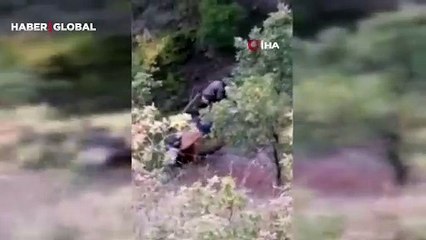 50 metrelik uçuruma yuvarlanan hayvan, 11 saatlik çalışmayla kurtarıldı