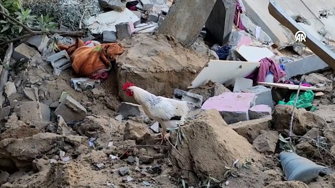 İsrail'in Gazze'ye yönelik saldırıları sürüyor