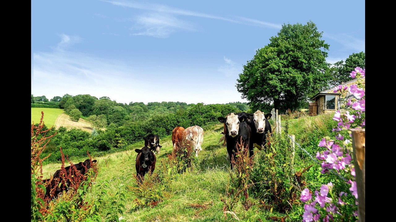 Hoods Farm Holiday Cottage Bridport, Dorset