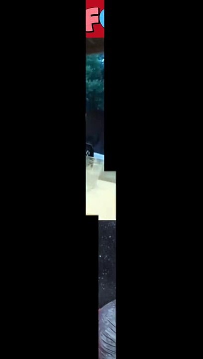 Funny video