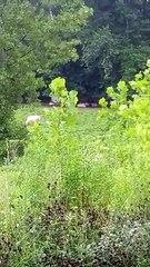 Only takes a minute for rain to turn into a storm - The Rural Outdoors