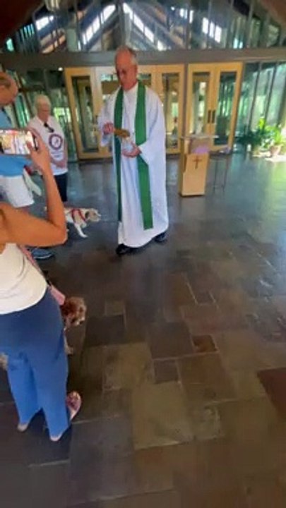 Dogs Receive Pet Blessing