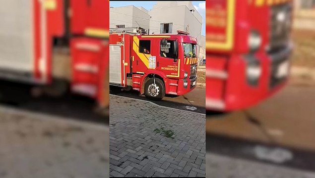 Moradora do Alto Alegre é surpreendida por cobra dentro do vaso sanitário