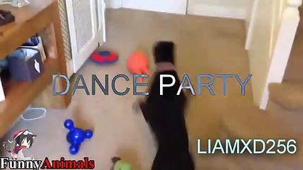 Bentlep Not Swearing