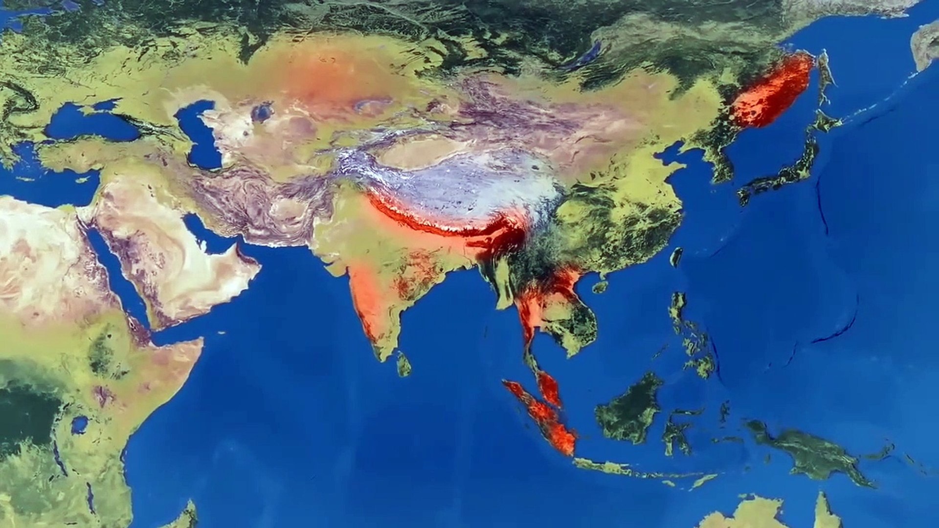 DOCUMENTARY LIVES TIGER