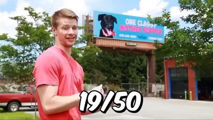 Aaj Ham (Beast) Beghar Dog's Ki Ghar Dene Wale Hai - Adopting So Many Dogs