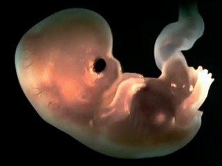 The Eye 2 : Renaissances Bande-annonce (EN)