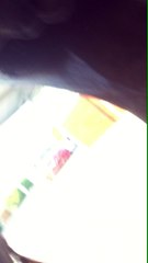 Día III Andalusian mare a Vet 2020