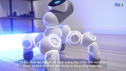 Trí tuệ nhân tạo và những lưu ý trong sự phát triển AI tương lai