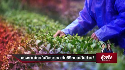 แรงงานไทยในอิสราเอล กับชีวิตบนเส้นด้าย ?  | ตัวจริงสนามข่าว | 14 ต.ค. 2566 | PART 1