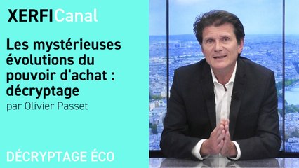 Les mystérieuses évolutions du pouvoir d'achat : décryptage [Olivier Passet]