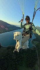 "Todo tiene un límite": Joven causa polémica al saltar con su perro en paracaídas