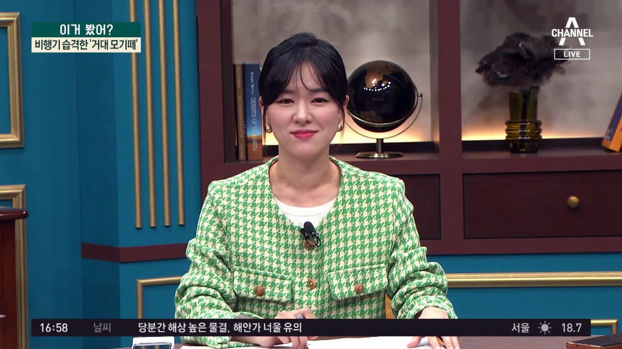 비행기 습격한 ‘거대 모기떼’…2시간 넘게 항공기 운항 연기