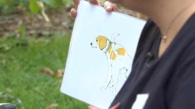 Los beneficios de la terapia con perros para los niños con cáncer