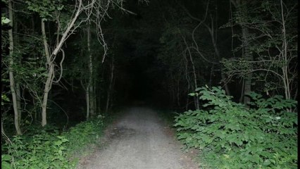 3 Urban Legends To Give You Nightmares || True Horror Stories