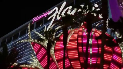 Sexy Dance 5 : All in Vegas