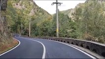 Unos ciclistas se encuentran un oso pardo en la carretera en Transilvania