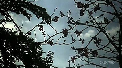 Khali Pyaala Dhoondhla Darpan /1980 Sparsh Songs / Naseeruddin Shah , Shabana Azmi