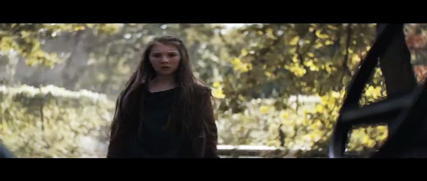Don't Breathe 2