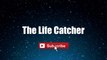 The Life Catcher - 人生捕手 -  Andy Lau #lyrics #lyricsvideo #singalong