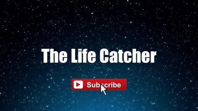 The Life Catcher - 人生捕手 - Andy Lau #lyrics #lyricsvideo #singalong