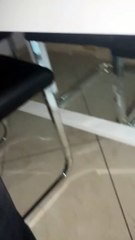 Un chaton araignée se cache sous la table de la cuisine