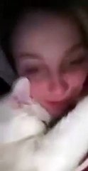 girl and cat love cat funny cat video viral cat tiktok
