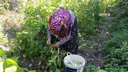 Les femmes de Bilecik ont ​​commencé les préparatifs pour la mise en conserve faite maison en hiver