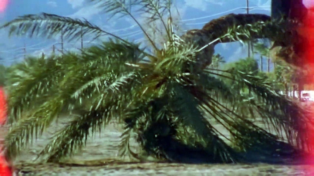 Feet in water, head on fire trailer ov