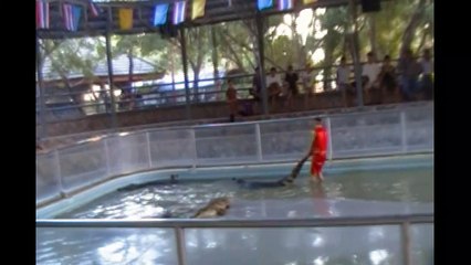 Crocodile Farm - Pattaya - Tailandia