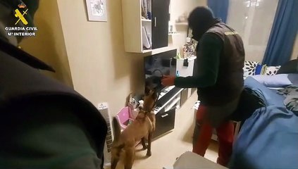 La Guardia Civil detiene al 'Pirri' y otro cinco miembros de su banda en Valladolid