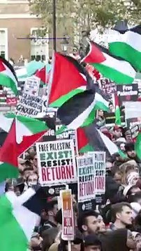 Israël-Gaza: dans le monde entier, les manifestations pro-Palestine se multiplient