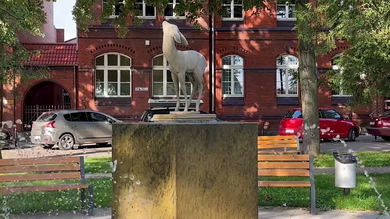 Ostatni dzwonek w budżecie obywatelskim w Trzciance. Głosowanie jeszcze tylko dziś