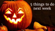 5 things to do next week (23-29 October 2023)