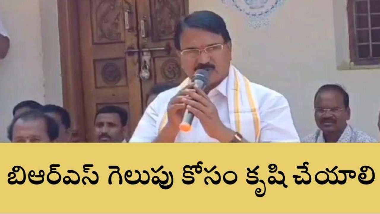వనపర్తి: బీఆర్ఎస్ పార్టీని గెలిపించడానికి కృషి చేయాలి..