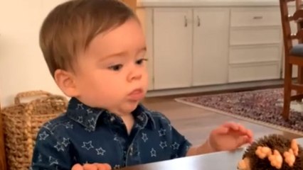 'What Phobia is this?!' - Calm boy likes his furry toy but CANNOT touch it