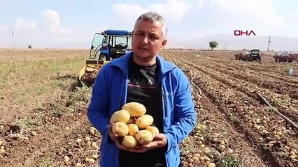 La récolte des pommes de terre est terminée à Sandıklı