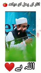 Ky Allah Hy❤️ _Molana Tariq Jameel  #shorts