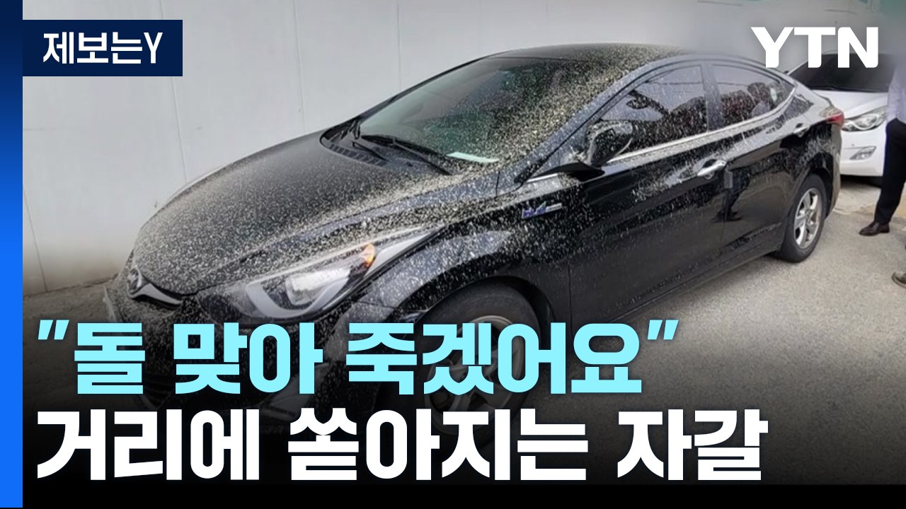 [제보는Y] 아파트 공사장에서 자갈·시멘트 쏟아져..."돌 맞아 죽겠어요" / YTN