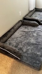 De l'argent bien dépensé