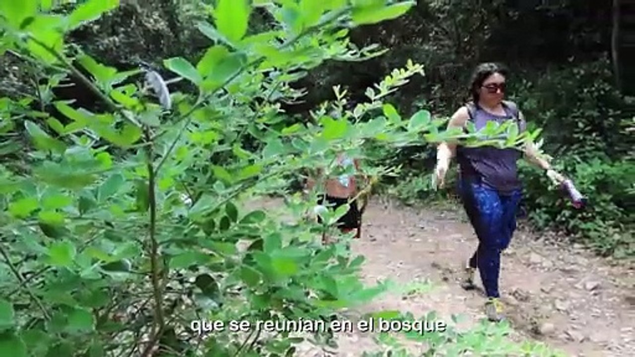 El Bosque de las Brujas de Argentera