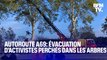 TANGUY DE BFM - Autoroute A69: les forces de l’ordre procèdent à l’évacuation d’activistes perchés dans les arbres entre Castres et Toulouse