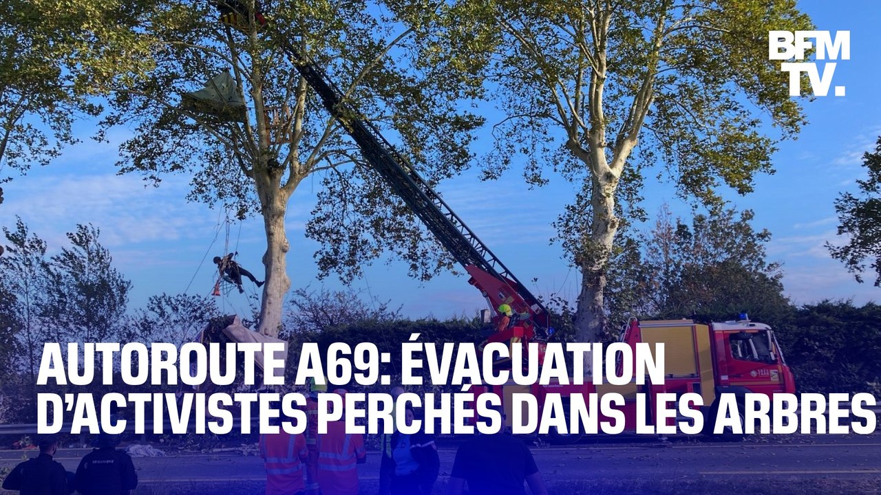 TANGUY DE BFM - Autoroute A69: les forces de l’ordre procèdent à l’évacuation d’activistes perchés dans les arbres entre Castres et Toulouse