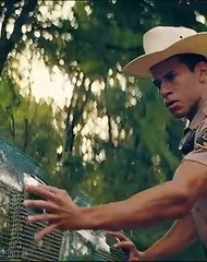 أفضل لقطات الأفلام التي ستأسر قلبك 🎬