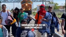 México pasó de país de tránsito a destino de migrantes, advierte el Senado