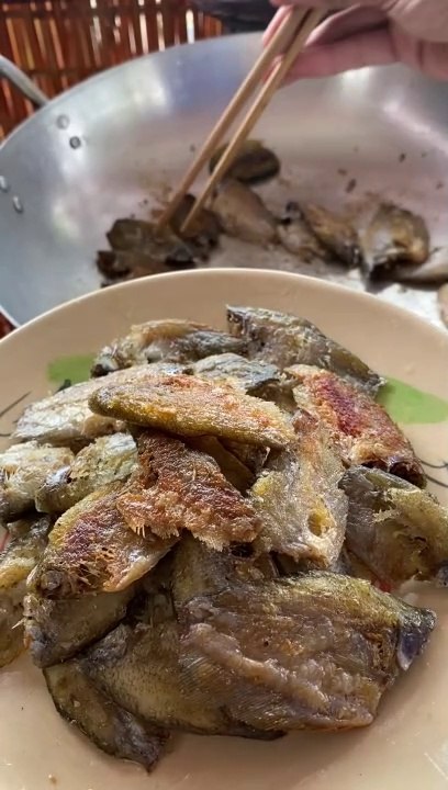 Tập 16 Cá Sặc Bướm Chiên Giòn Ăn Cùng Nồi Canh Này Nữa Thì Ai Cũng Phải Khen Ngon