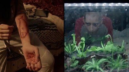 50 (O dos ballenas se encuentran en la playa) - Trailer Oficial (HD)