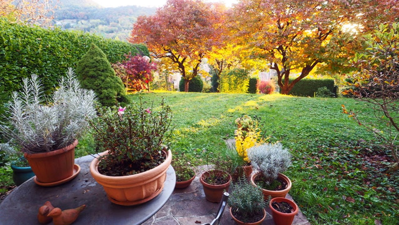 5 Reasons to Never Cut Back Your Garden in Fall